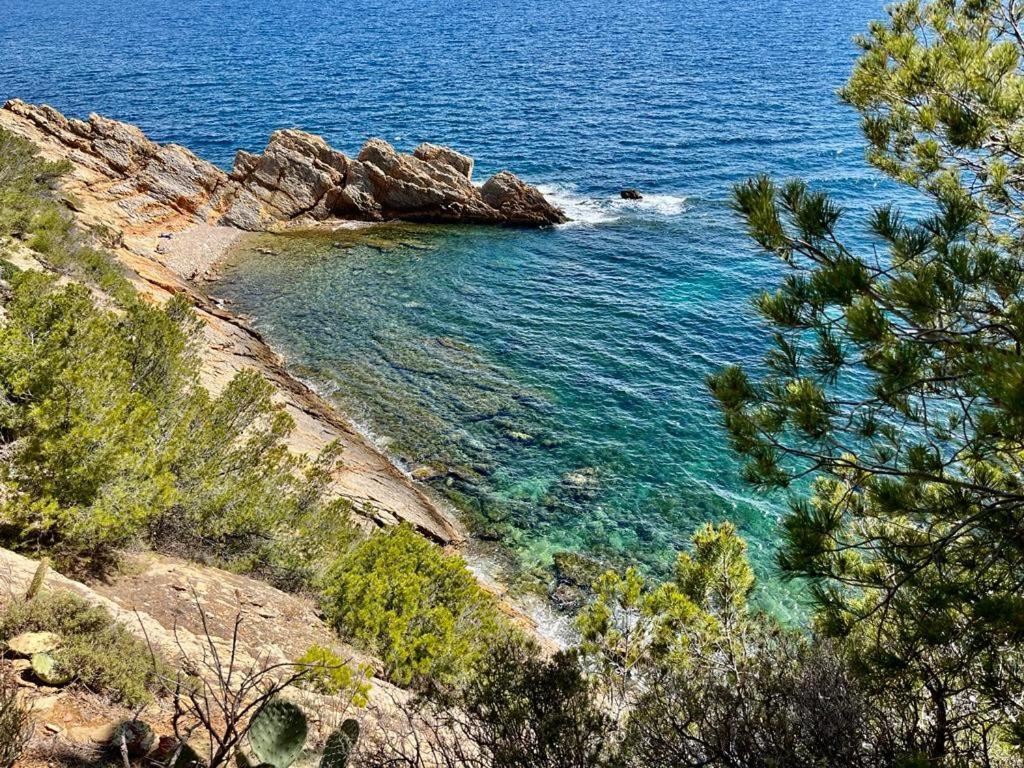 Appartement Au Calme, Calanque Des Figuieres Ensues-la-Redonne Ngoại thất bức ảnh